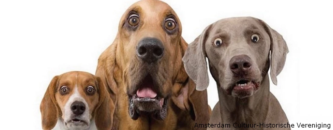 honden