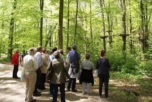 Excursie: Met de boswachter door Het Amsterdamse Bos