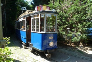 Excursie: oude trams en Stadionbuurt