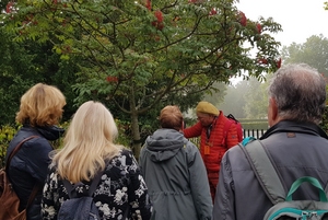 Het Nieuwe Ooster - bomenexcursie