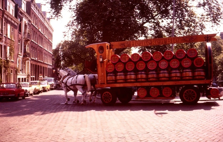 heineken bierwagen met paarden