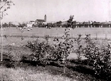 sportvelden