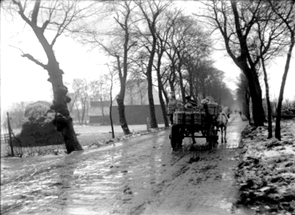 Amstelveenseweg ter hoogte van 165 nabij Cornelis Krusemanstraat (1914)