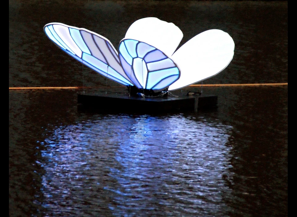 Zeven reusachtige vlinders zijn neergestreken op het 
					  wateroppervlak van de gracht. Een rimpeling veroorzaakt door een langsvarende boot doen de vlinders niet alleen op en neer deinen 
					  maar zorgen ervoor dat de vleugels van de vlinders blauw oplichten in de nacht. Op het eerste aanblik toont het kunstwerk een 
					  vredig, bijna magisch tafereel. Maar dat iets teders als een vlinder een ook een enorme kracht kan bezitten is wat kunstenaar 
					  Masamichi Shimada wil laten zien met Butterfly Effect verwijsend naar een lezing uit 1961 van de Amerikaanse wiskundige en meteoroloog 
					  Edward Lorenz getiteld, 'Predictability, does the Flap of a Butterfly's Wings in Brazil Set off a Tornado in Texas?'. 2019