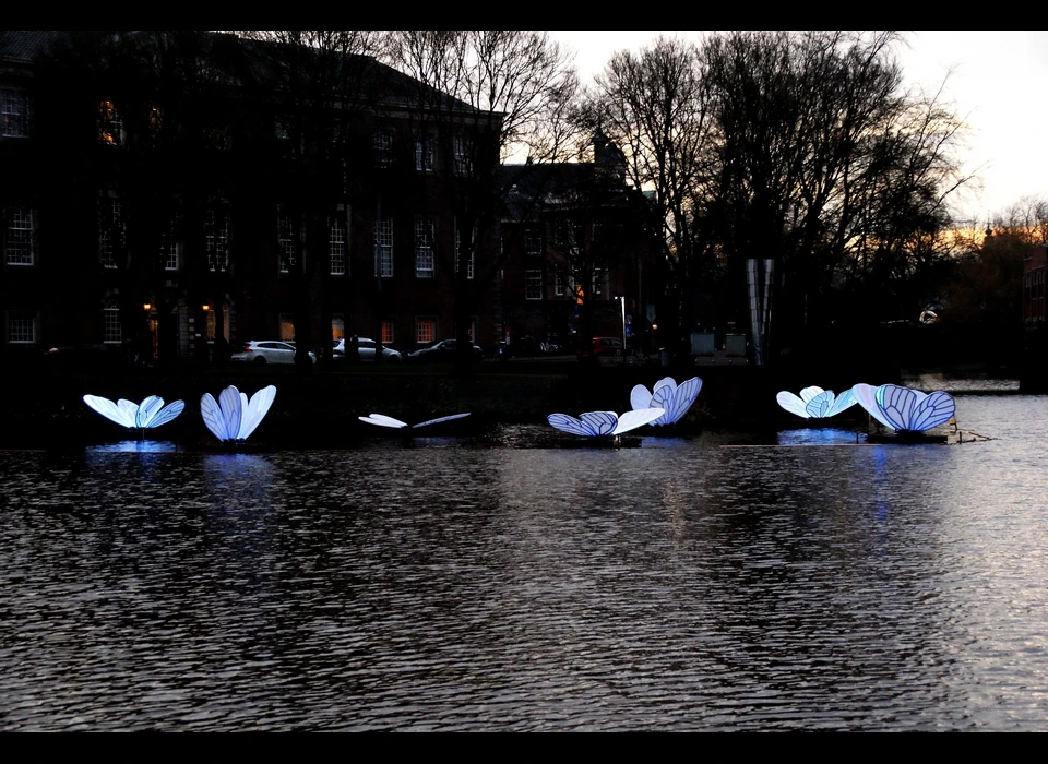 Zeven reusachtige vlinders zijn neergestreken op het 
					  wateroppervlak van de gracht. Een rimpeling veroorzaakt door een langsvarende boot doen de vlinders niet alleen op en neer deinen 
					  maar zorgen ervoor dat de vleugels van de vlinders blauw oplichten in de nacht. Op het eerste aanblik toont het kunstwerk een 
					  vredig, bijna magisch tafereel. Maar dat iets teders als een vlinder een ook een enorme kracht kan bezitten is wat kunstenaar 
					  Masamichi Shimada wil laten zien met Butterfly Effect verwijsend naar een lezing uit 1961 van de Amerikaanse wiskundige en meteoroloog 
					  Edward Lorenz getiteld, 'Predictability, does the Flap of a Butterfly's Wings in Brazil Set off a Tornado in Texas?'. 2019