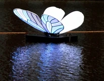 light festival 2019