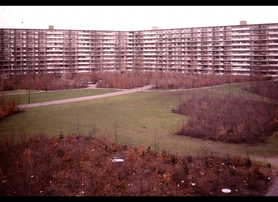 Kruitberg (1977)