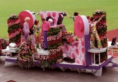 Aalsmeers Bloemencorso 2007