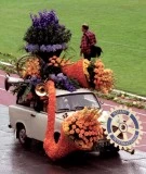 Aalsmeers Bloemencorso 2007