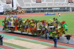 Aalsmeers Bloemencorso 2007