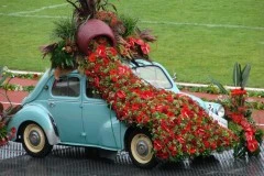 Aalsmeers Bloemencorso 2007