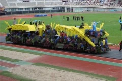 Aalsmeers Bloemencorso 2007