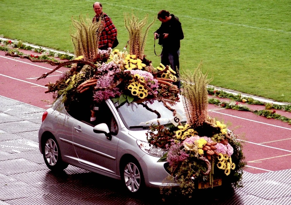 Luxe auto, Peugeot