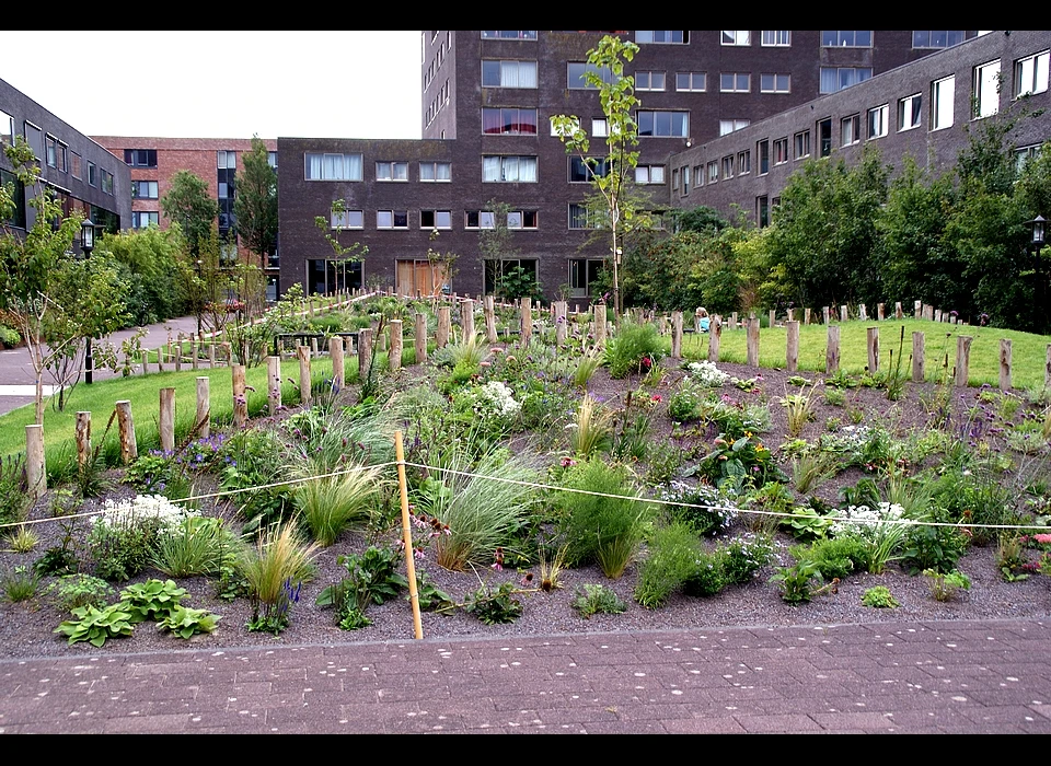 Cor van Weelehof plantsoen (2020)