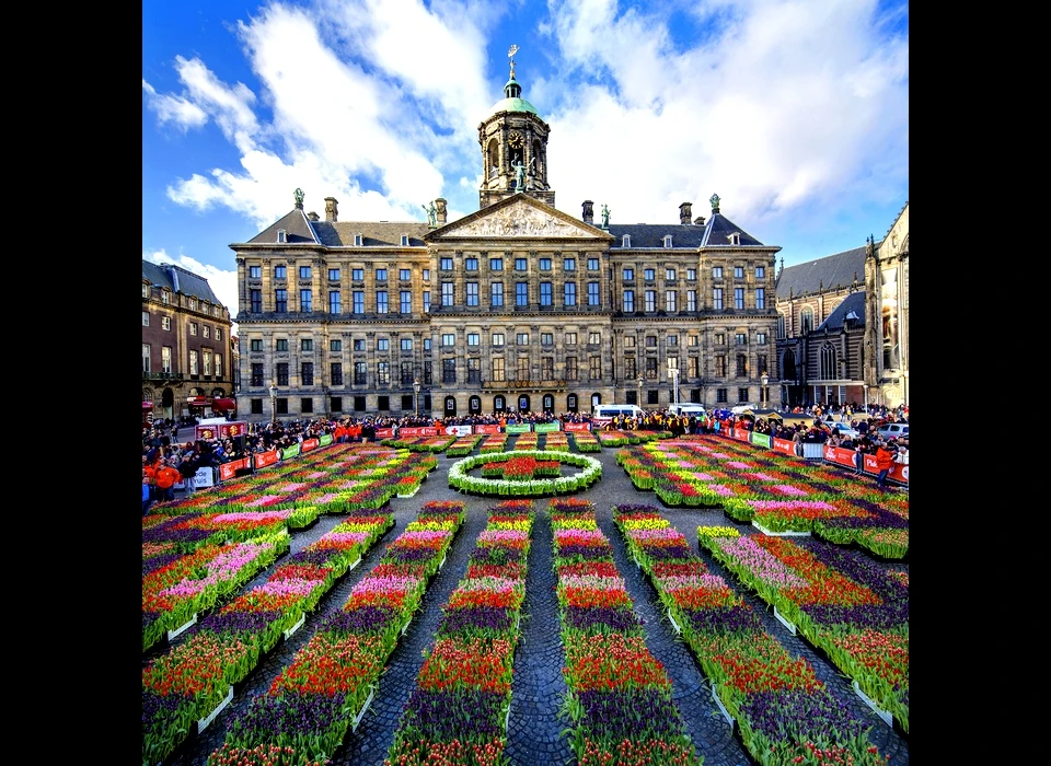 Dam, Nationale Tulpendag midden januari start van het tulpenseizoen (2017)