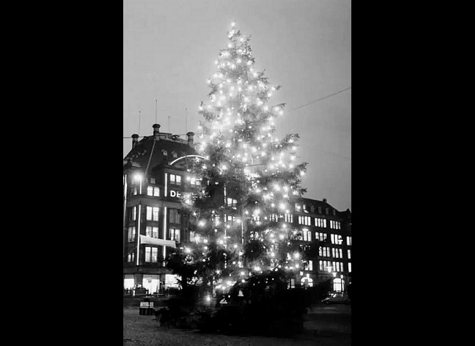 Dam kerstboom (1955)