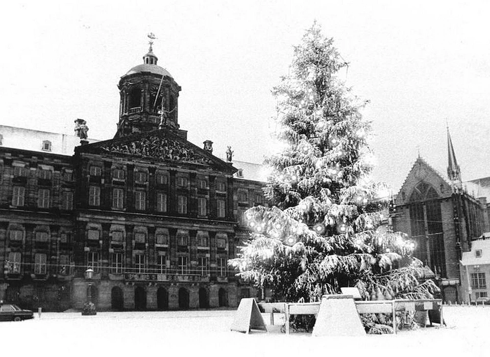 Dam kerstboom (1980)