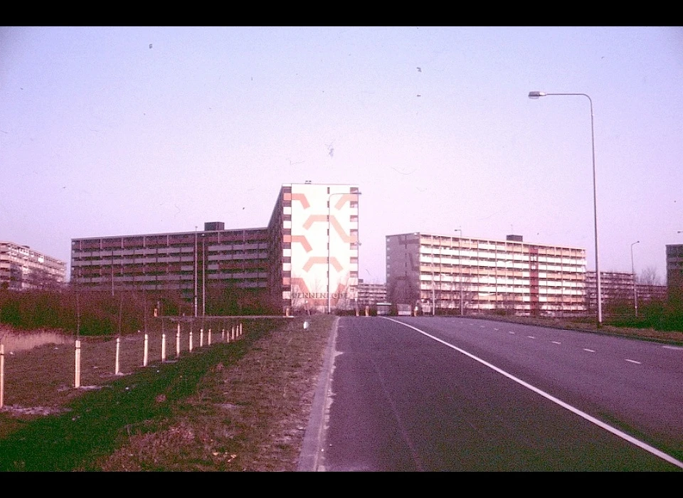 Dennenrode vanaf Dubbelinkdreef (1984)