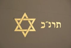 Gerard Doustraat 238, synagoge
