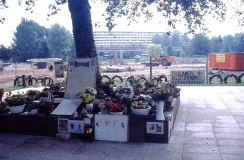 Groeneveen, voorlopig monument