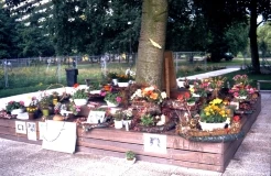 Groeneveen, voorlopig monument