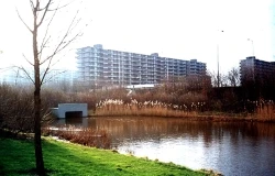 Haag en Veld, 1974