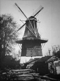 molen de bloem