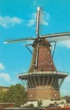 molen de bloem