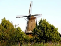 molen de bloem