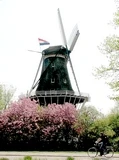 molen de bloem