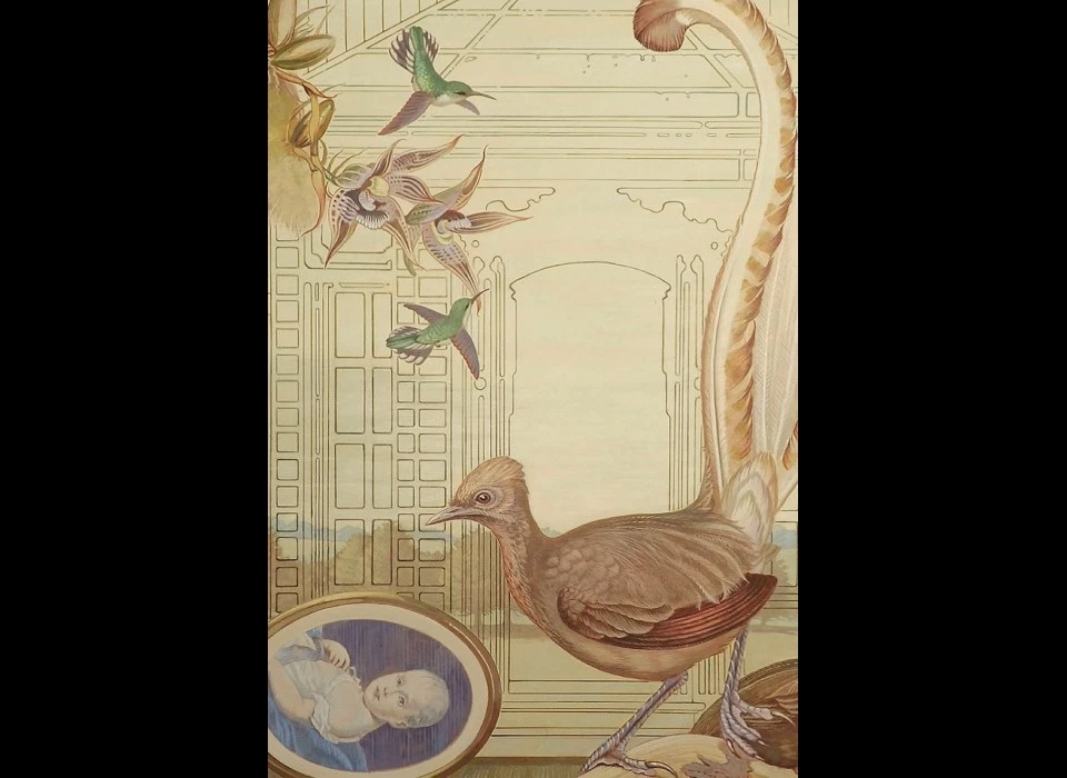 Herengracht 40 histoire naturelle 1 le roi de Rome detail liervogel kolibries