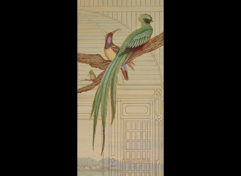 Herengracht 40 histoire naturelle 2 Louis Bonaparte detail quetzal honingzuiger