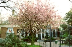 huis jaarveld