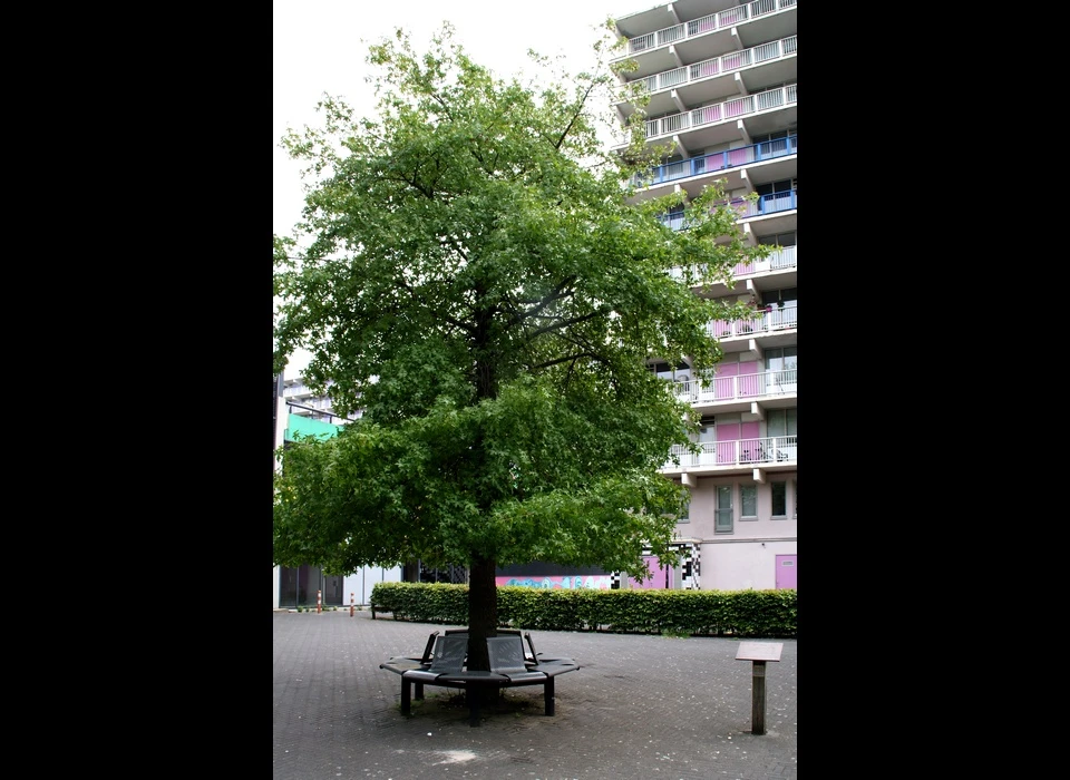 Hogevecht bij parkeergarage Herdenkingsboom voor Lucas van Herwaarden (2018)