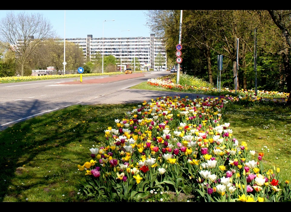 Hogevecht gezien over Huntumdreef (2019)