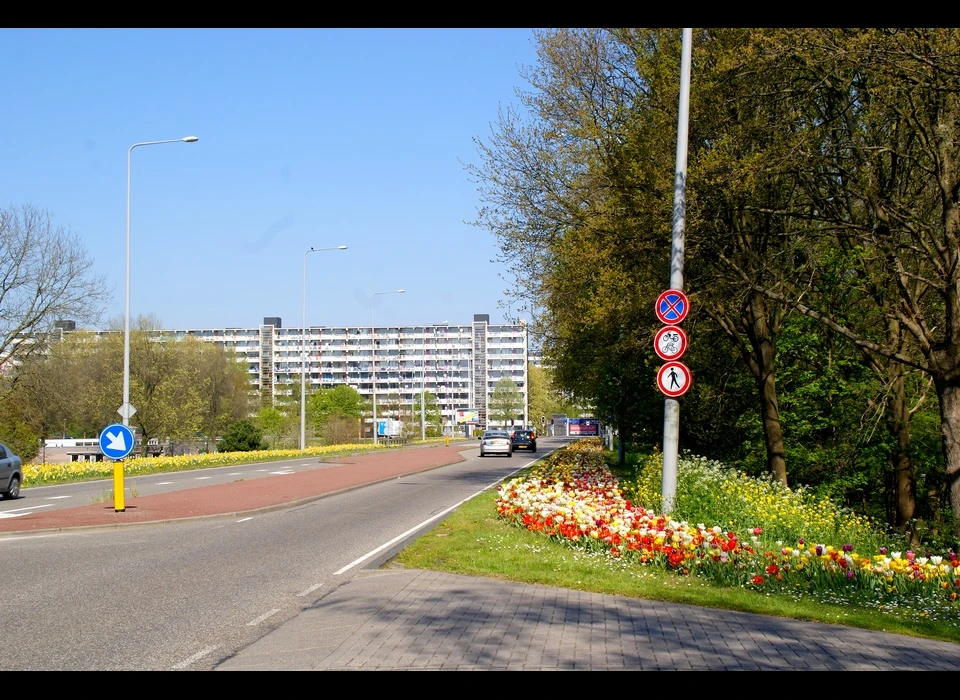 Hogevecht gezien over Huntumdreef (2019)