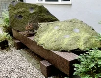 natuurfragmenten