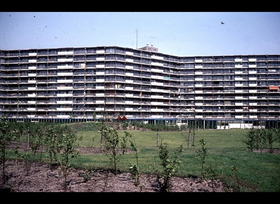 Huigenbos (1976)