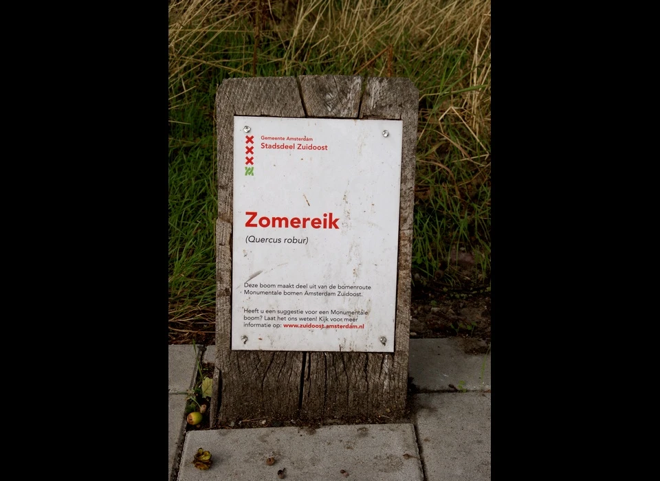 Huntum Zomereik toelichting