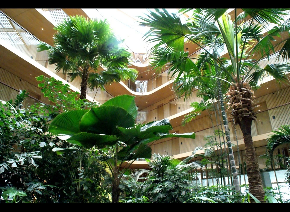 Javakade 766 hotel Jakarta een subtropische plantentuin maakt deel uit van het binnenklimaat (2019)