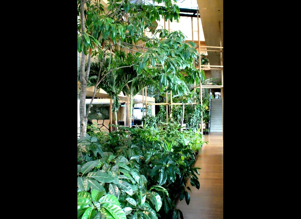Javakade 766 hotel Jakarta een subtropische plantentuin maakt deel uit van het binnenklimaat (2019)
