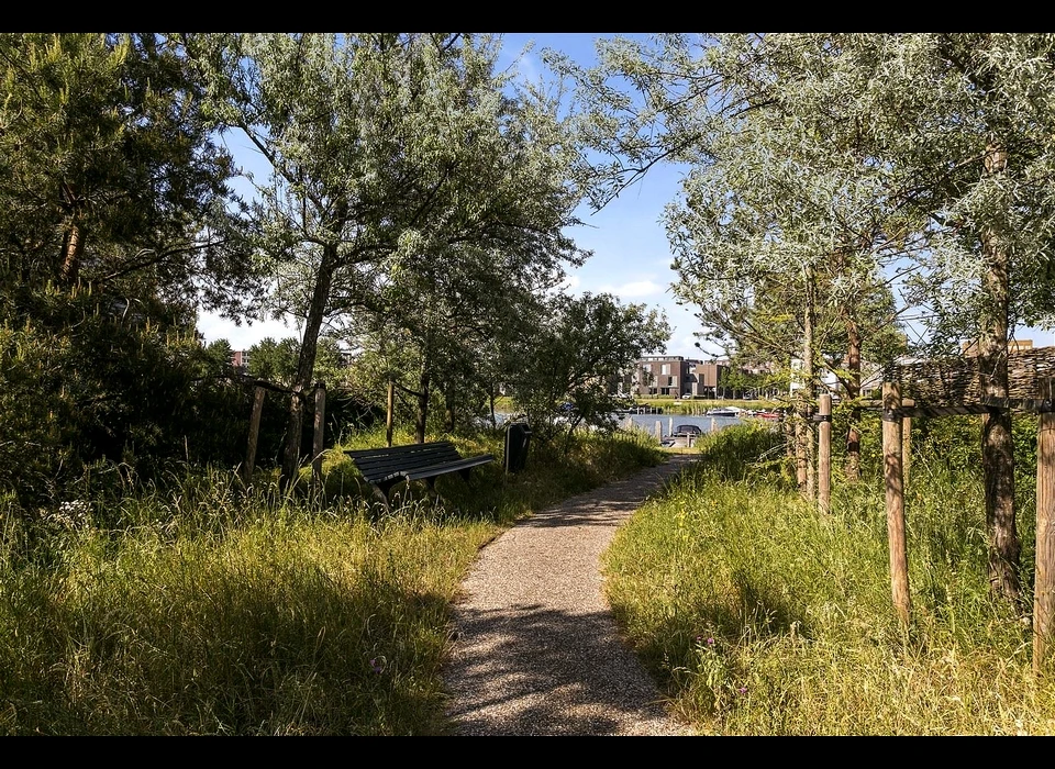 Larikslaan natuurweg naar water (2020)