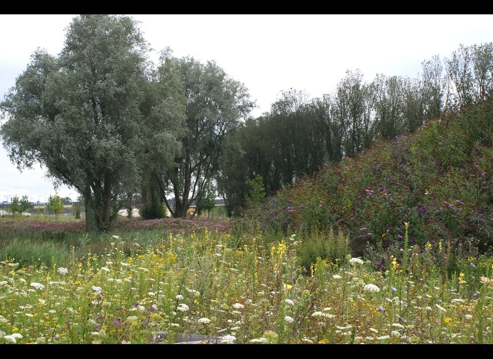 Het Bijlmerpark bij de nieuwe vlinderheuvel (2011)