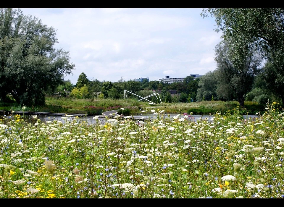 Bijlmerpark Growing X door Shlomo Koren (2011)