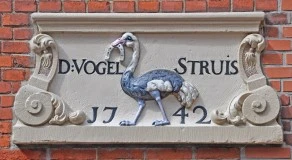 Nieuwe Uilenburgerstraat, Vogelstruys
