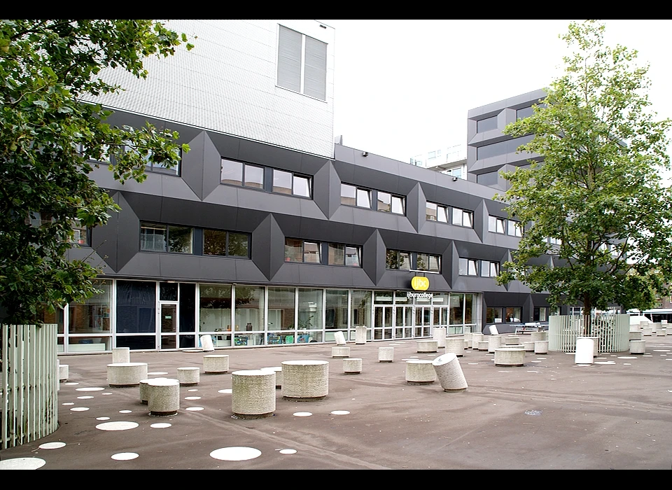 Pampuslaan 1 IJburg College achterzijde (2020)