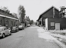 Plantage Doklaan, 1973