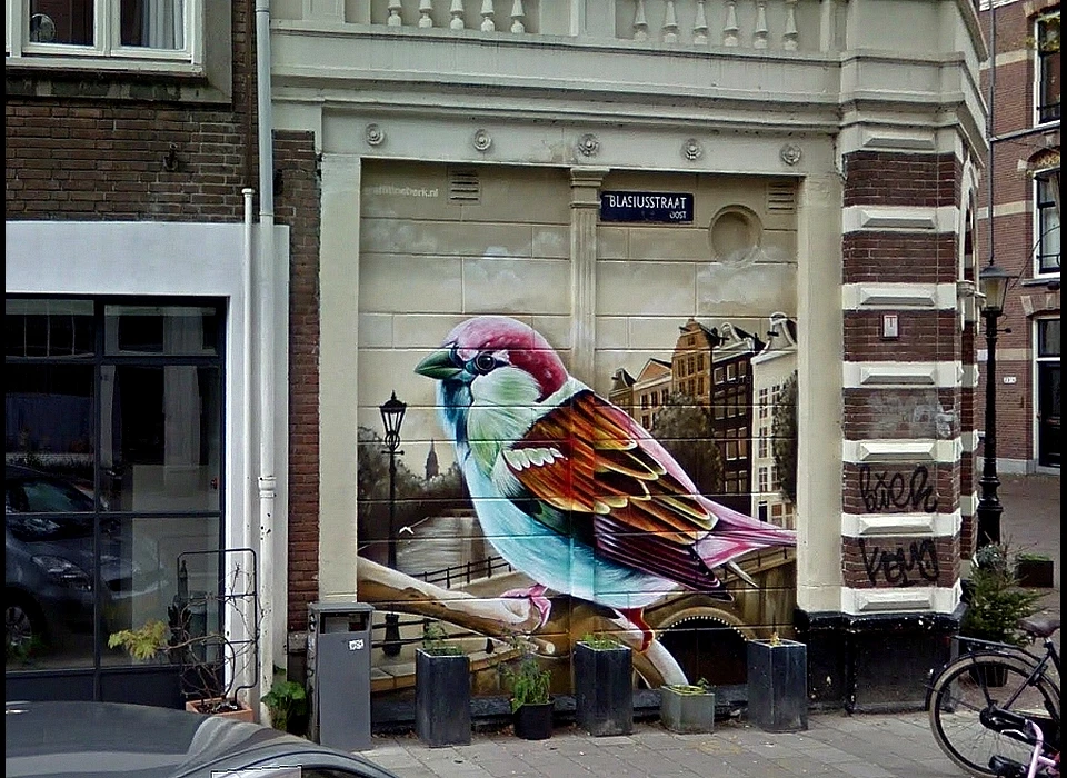 Swammerdamstraat 70 ontwerp en uitvoering Graffitinetwerk.nl (2019)