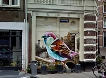 Swammerdamstraat 70