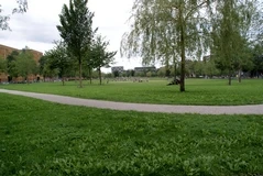 Theo van Goghpark